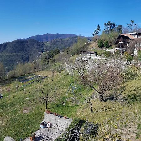 Teresa Campi Apartments Lake View By Gardadomusmea Tremosine Exterior foto